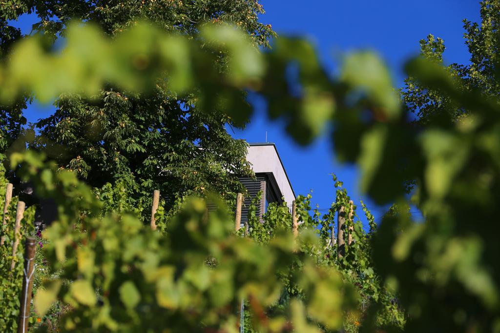 Vogelsburg Otel Escherndorf Dış mekan fotoğraf
