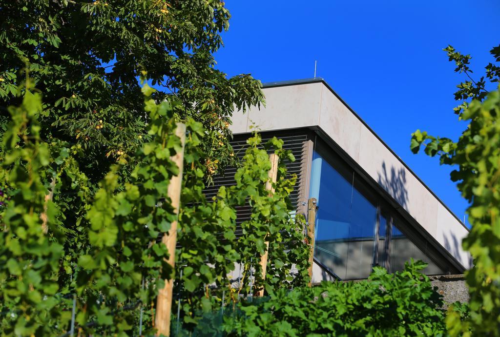 Vogelsburg Otel Escherndorf Dış mekan fotoğraf