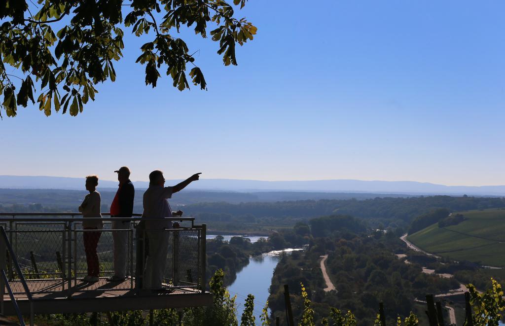 Vogelsburg Otel Escherndorf Dış mekan fotoğraf